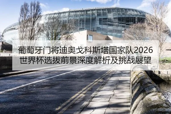 葡萄牙门将迪奥戈科斯塔国家队2026世界杯选拔前景深度解析及挑战展望（6686sports）